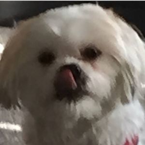 Meet your Posher, Charlotte